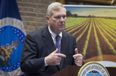 Agricultura y Clima en la COP28: Entre la Expectativa y la Realidad