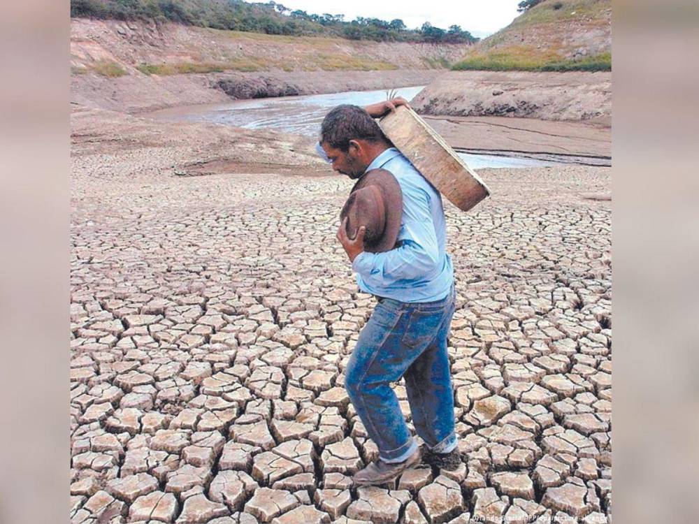 Preocupación en el sector agropecuario de Honduras ante la inminente sequía de 2024