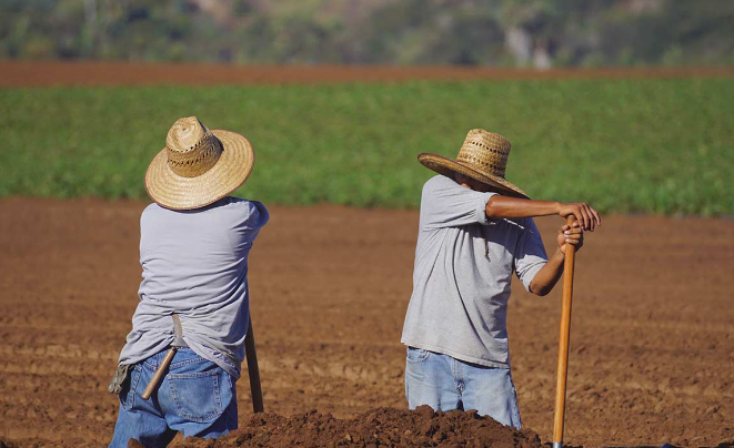 Perspectivas del sector agropecuario en Colombia para la próxima década