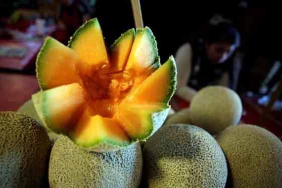 Cierre temporal de planta de melón en México debido a brote de salmonella