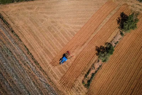 Productores agropecuarios Argentinos miran hacia el exterior en busca de estabilidad