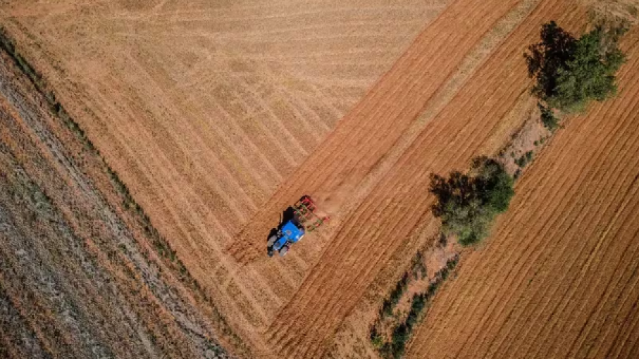 Productores agropecuarios Argentinos miran hacia el exterior en busca de estabilidad