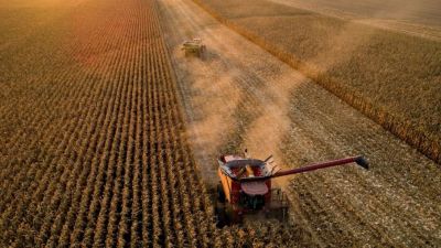 Navegando hacia la cosecha gruesa: El plan de ajuste y reservas de Milei en la mirada económica