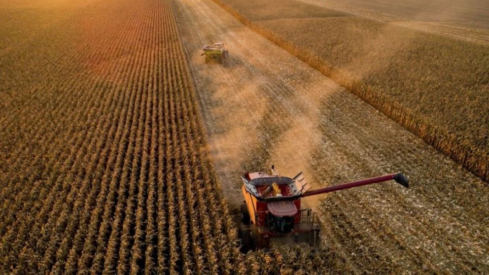 Navegando hacia la cosecha gruesa: El plan de ajuste y reservas de Milei en la mirada econmica