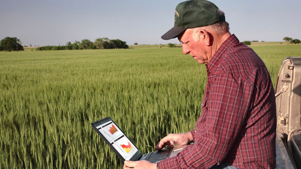 Encuesta SEA: mejoran las expectativas en el agro, pero con reservas