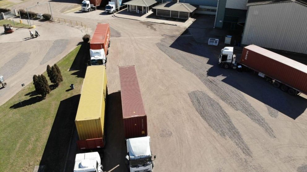 Argentina anfitriona del World Peanut Meeting: Un evento clave para el sector del Man