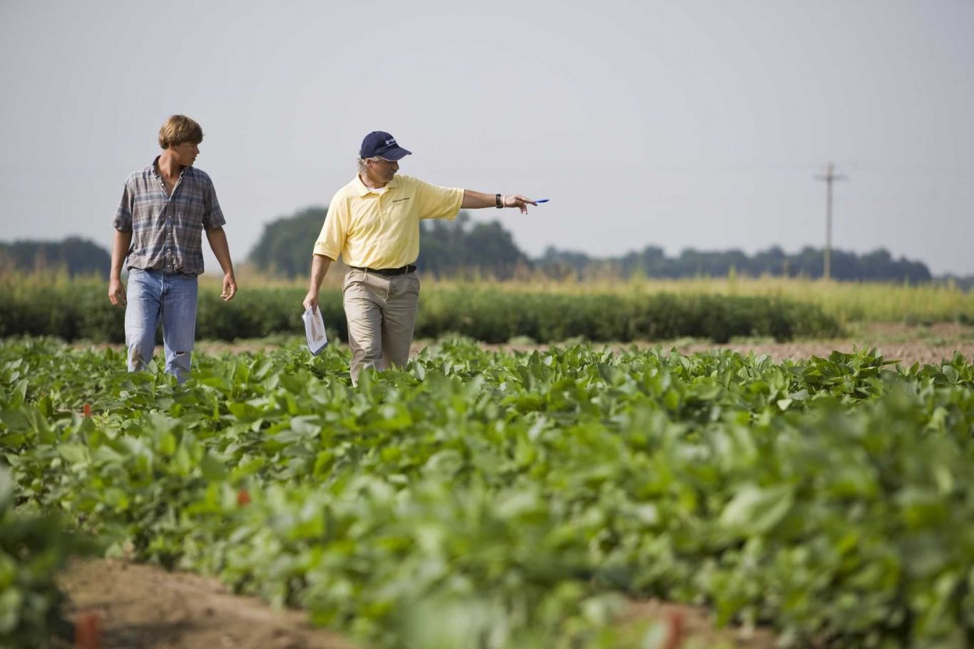  Crece la confianza en el agro pese a desafíos microeconómicos