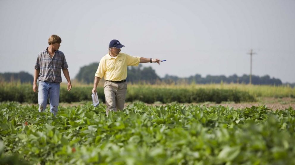  Crece la confianza en el agro pese a desafos microeconmicos