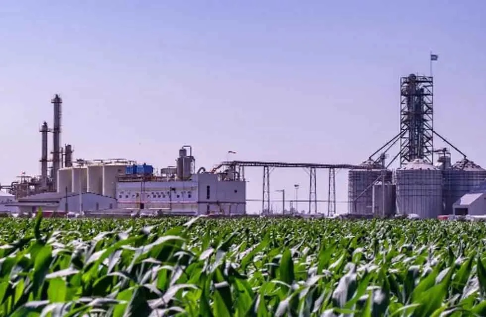 Aprueban una levadura transgénica para la producción de bioetanol