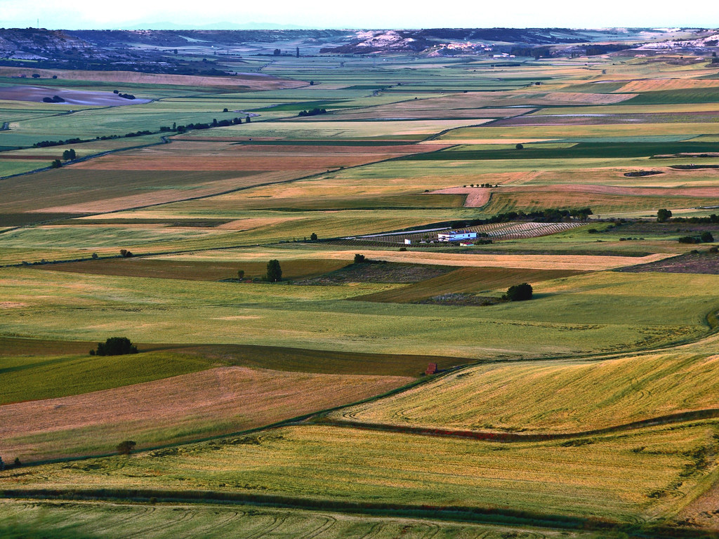Canadá posee la mayor cantidad de tierras agrícolas en EEUU