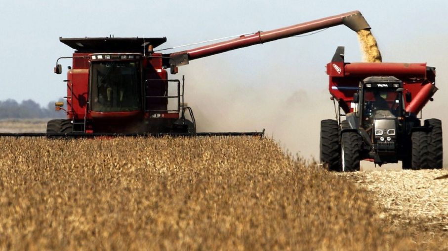 Trigo: la producción en Córdoba es la segunda menor de la última década