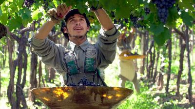  El trabajo cambia de manos: agro, pesca y comercio sostienen el empleo en medio de la recesión