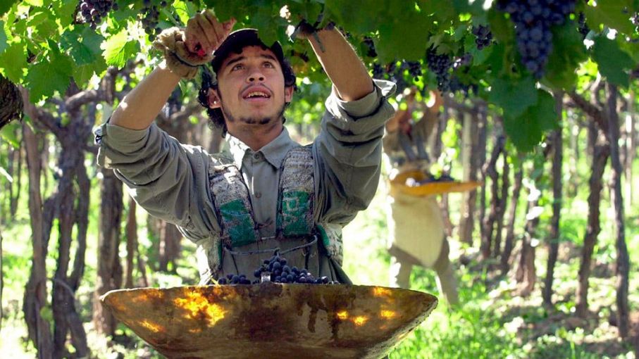 Paritaria de 110% y salario básico de $518.757: a quiénes corresponde