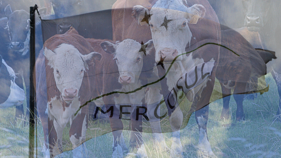 Qué está pasando con el mercado de la carne en el Mercosur