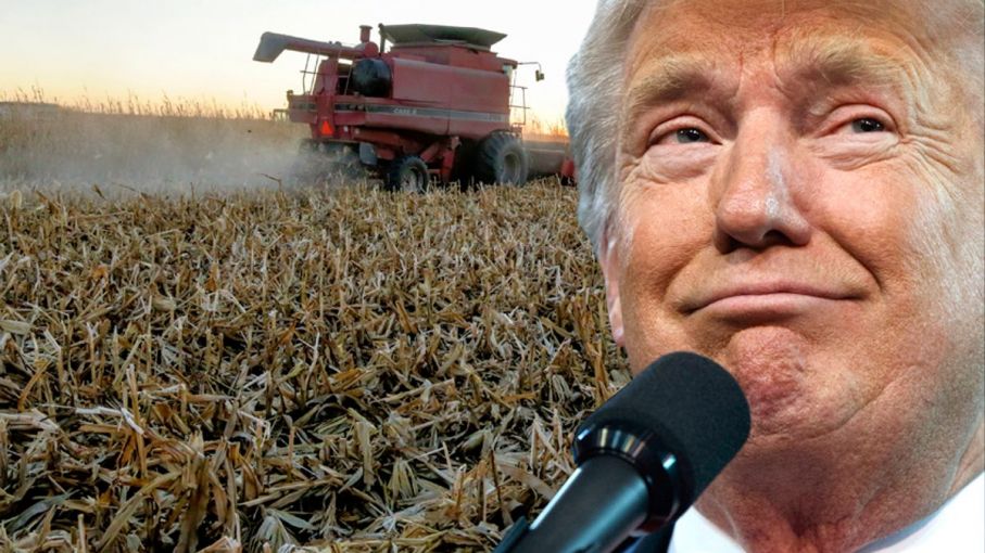 Agricultores de Iowa respaldan a Trump a pesar de preocupaciones por guerras comerciales