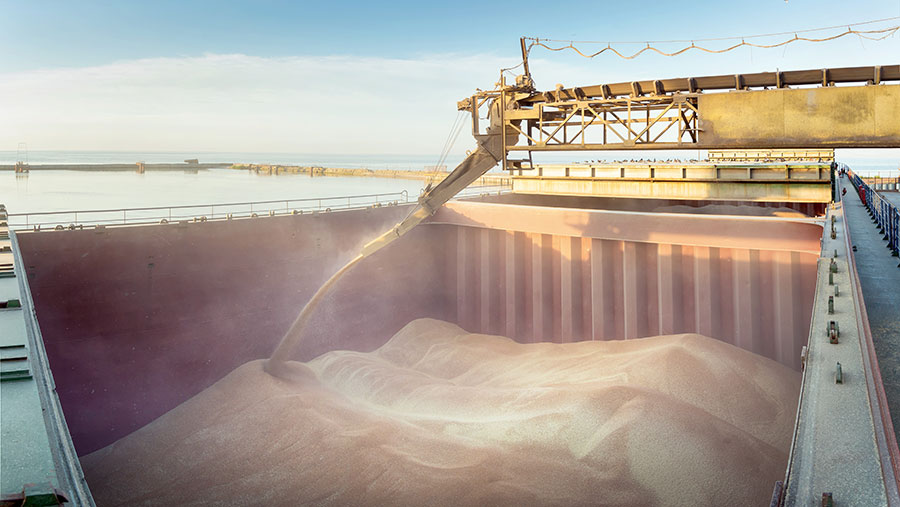Ucrania exportó 7,5 millones de toneladas de cereales a través de su propio corredor marítimo y de Constanta en Rumania en diciembre