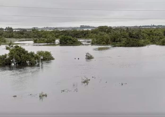 Inundaciones en Corrientes: grave impacto en el sector Agropecuario
