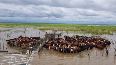 Inundaciones: convocan a asamblea de productores rurales en 9 de Julio