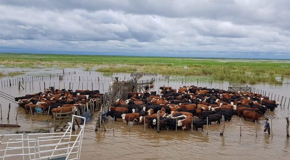 Oficializan exención del Impuesto Rural por inundaciones para productores de dos distritos