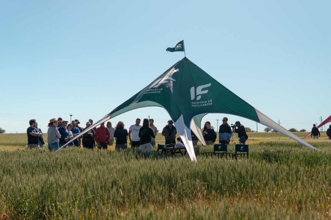 Innovación en fertilización: fraccionamiento y bioestimulación elevan la sustentabilidad y productividad agrícola