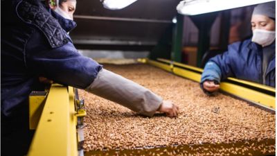 La Cámara Argentina del Maní avaló la postura cordobesa contra las retenciones 