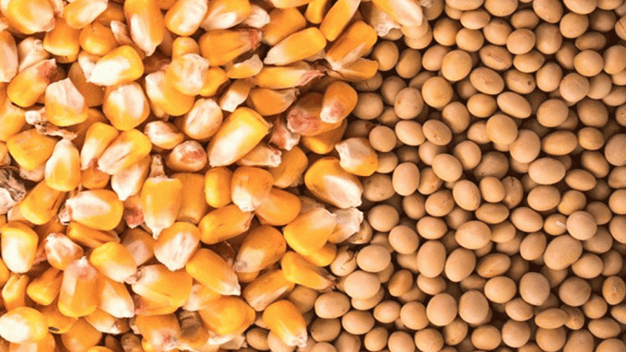 Mercados agrícolas en alerta: Inflación en EE.UU. y tensiones geopolíticas pueden impactar precios de granos