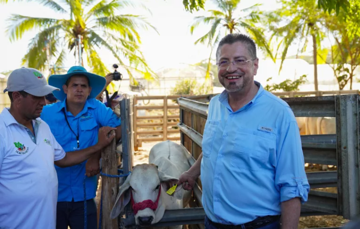 Trazabilidad bovina: Costa Rica abre puertas a mercados Europeos