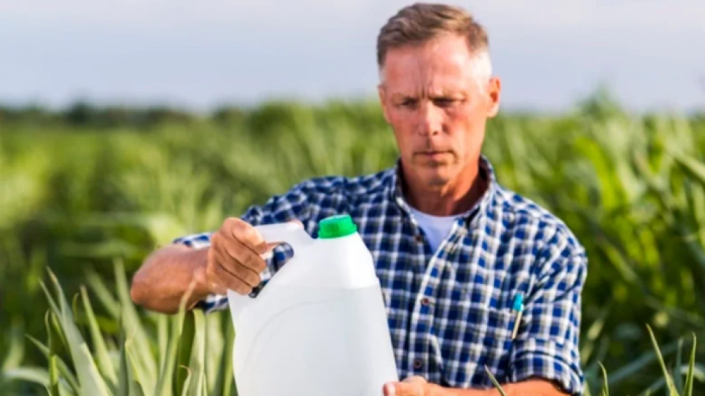 Los insumos agrcolas en Argentina: Una carga pesada en comparacin con Brasil y Uruguay