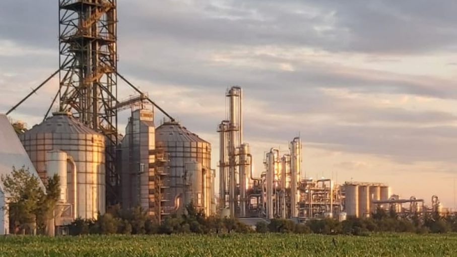 Argentina fortalece la producción de biocombustibles: Nueva levadura autorizada 