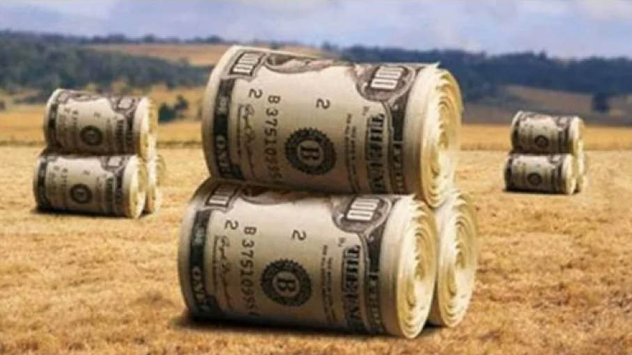 Cosecha en encrucijada: ¿Se retrasará el flujo de divisas agrícolas?
