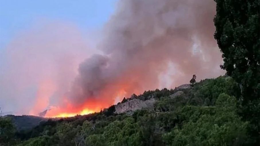 Alerta: ya son más de 2.000 las hectáreas quemadas en el Parque Nacional Los Alerces
