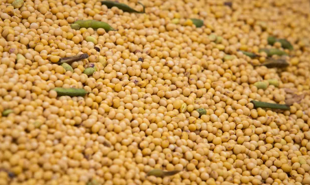 Mercados Agrícolas: Variaciones en precios de soja, maíz y trigo en Rosario y Chicago