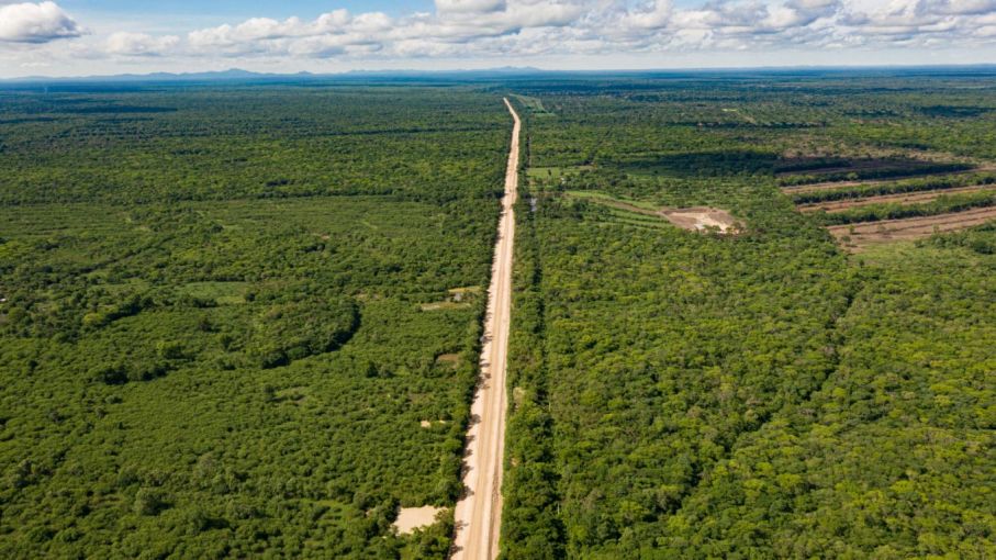 La expansión de la soja en Bolivia amenaza al Bosque Chiquitano: Ambición vs. sostenibilidad