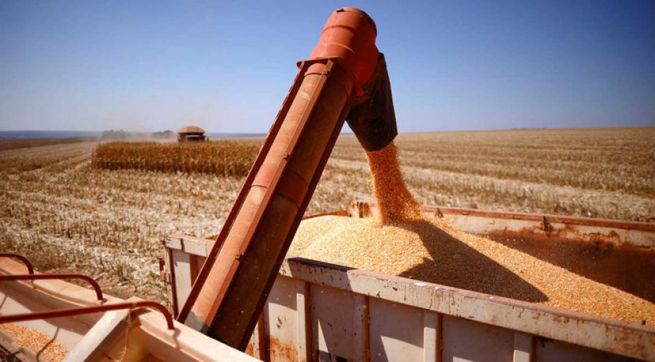 Los embarques de maíz de Argentina alcanzan su nivel más alto en cinco años