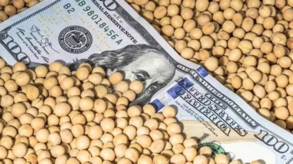 Optimismo en el sector agroexportador Argentino: Pronóstico de ingresos pese a baja en precios