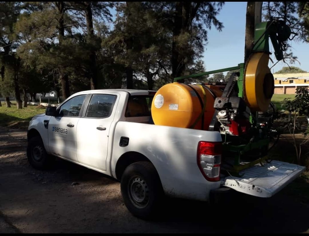 Langostas: Se intensifica la vigilancia tras detectar y controlar un foco en Santiago del Estero