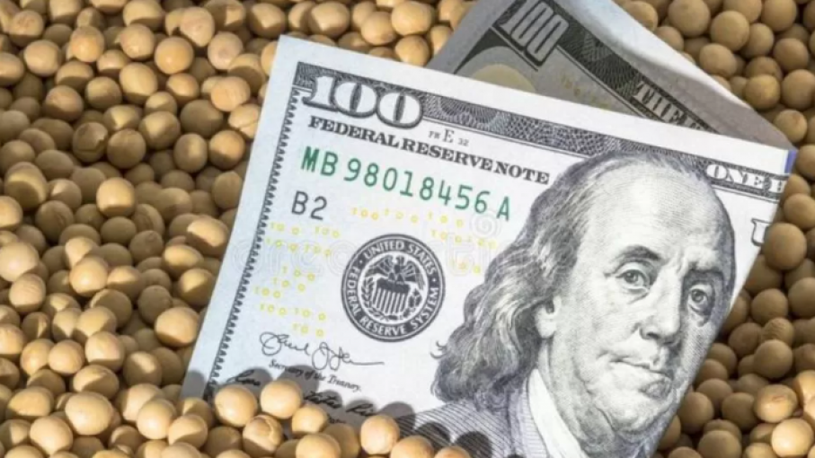 Dudas en el campo Argentino por el esquema del dólar 80/20 y su impacto en la competitividad