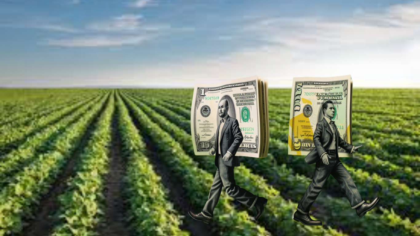 Tasas de financiamiento para productores en la campaña 2024/25