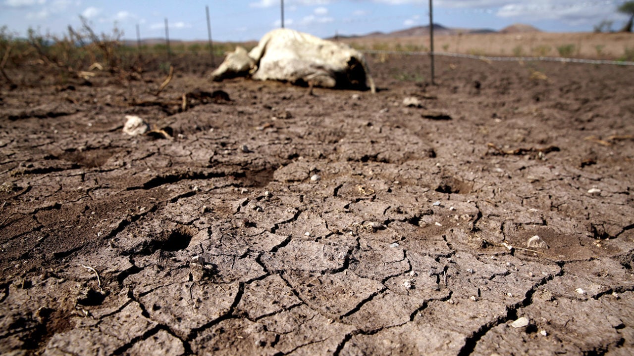 Jalisco combate la peor sequía de su historia con apoyos de 300 millones de pesos