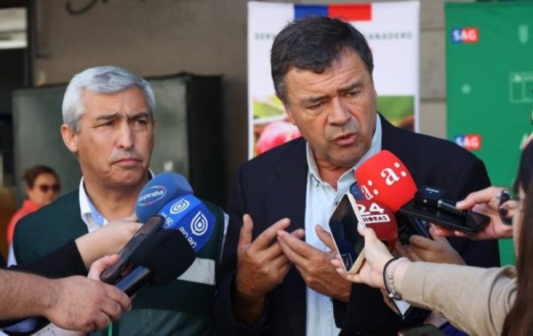 Chile intensifica la lucha contra el ingreso ilegal de productos agropecuarios