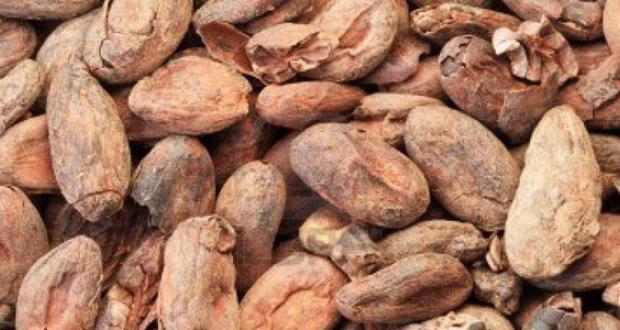 Cacao Boliviano destaca en el escenario internacional con dos medallas de plata