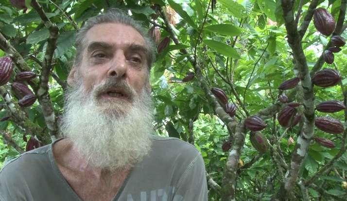 Cacao de Upala brilla en el escenario internacional con galardón de Oro