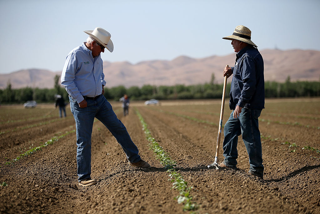 EE.UU. enfrenta desafíos comerciales: el USDA prepara medidas para proteger a los agricultores