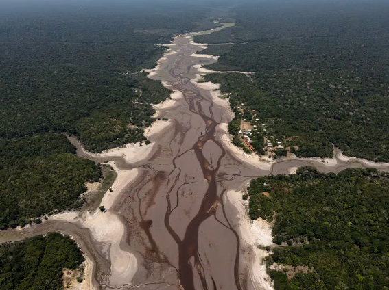 El calentamiento global, la deforestación y los incendios podrían acelerar la desaparición del Amazonas, alerta un estudio