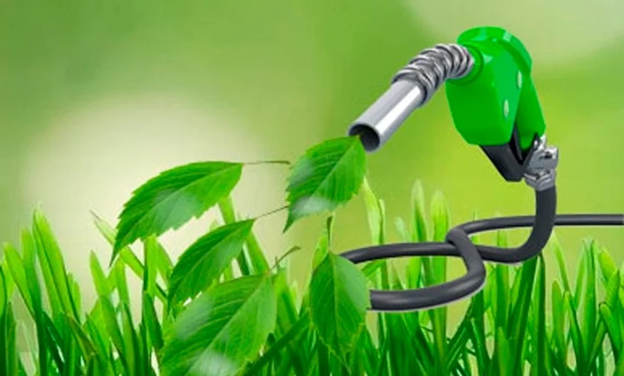 Productores de soja presionan a Trump para que acelere la certeza sobre los biocombustibles