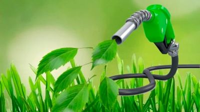Productores de soja presionan a Trump para que acelere la certeza sobre los biocombustibles
