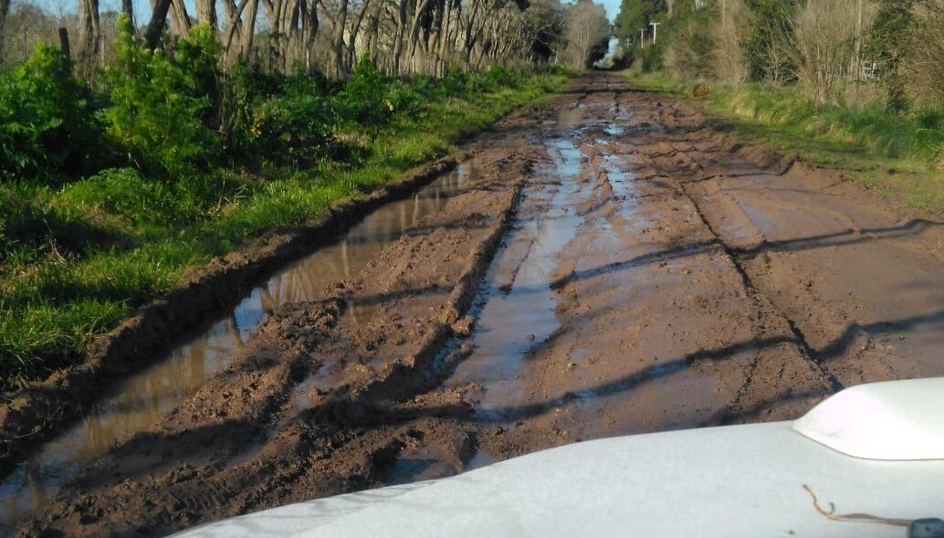 Frigerio destinará el total del Impuesto Inmobiliario Rural a la infraestructura vial
