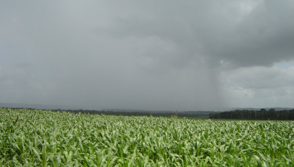 El centro agricola no recibió los efectos de las lluvias