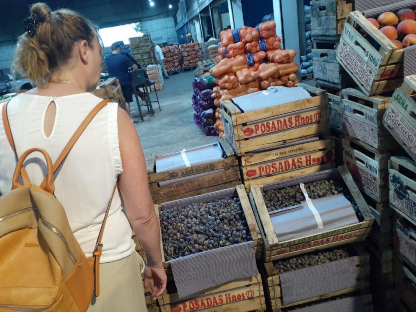 Control de sanidad e inocuidad en uvas que se comercian en el Mercado Regional de La Plata