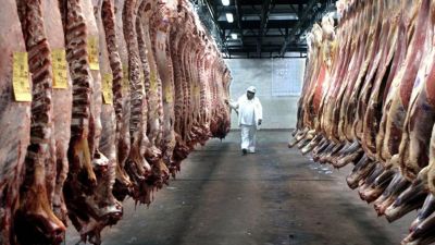 Modernización en frigoríficos: El Gobierno flexibiliza restricciones horarias vigentes desde 1991